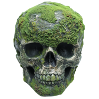 Fantasy-inspired mossy human skull isolated on transparent background png