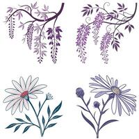 Forget-me-not Flower Graphics vector