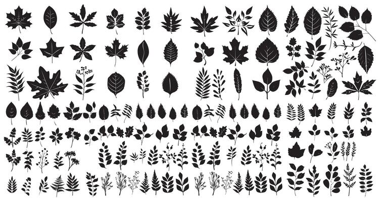 A large collection of leaves and leaves