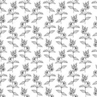 Seamless Pattern With Line Drawn Flowering Branch vector