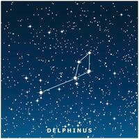 A dark blue illustration of the Delphinus constellation with glowing stars vector