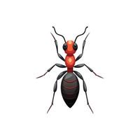 Natures Worker Intricate Ant Illustration Design vector