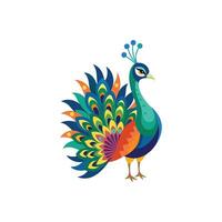 Majestic Peacock with Vibrant Feathers vector