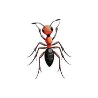 Mighty And Small The Art of Ants vector