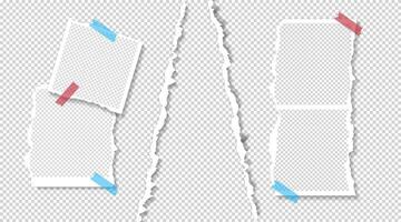 photo frames template design with shadow effect vector