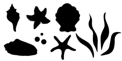 silhouette of shells, starfish and seaweed. Illustrations of the sea underwater world drawn with black ink. Black outline icon of shell and mollusks vector