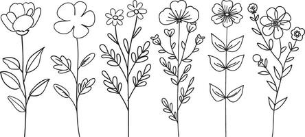 Hand-drawn wildflower line art illustration set Description Copy Edit vector