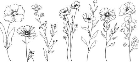 Hand drawn wildflower illustrations in fine line art vector
