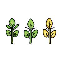 Three different types of leaves are shown in this illustration vector