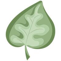 original icon of a round green leaf from a hardwood tree with various shadows, for various designs or patterns vector