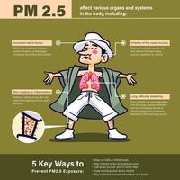 Air that affects organs from fine dust particles vector