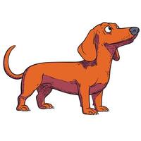 Cartoon Dachshund with Curious Expression in Vintage Style vector
