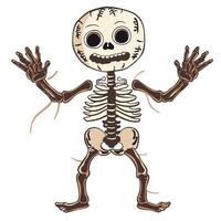Cute cartoon skeleton with exaggerated features and playful pose, perfect for Halloween or educational themes vector