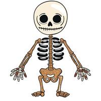 cartoon skeleton with round head, large eyes, and playful expression, featuring detailed bones and simple design. Perfect for Halloween or educational themes vector