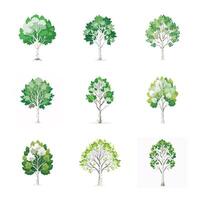 Tree set on white vector