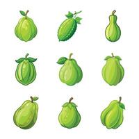 Green fruit on white vector