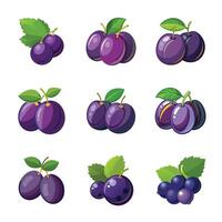 Plum fruit set on white vector
