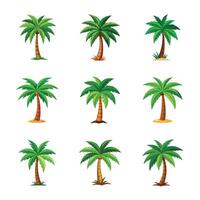 Pack of different palm trees vector