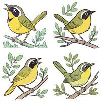 Set of bird in cartoon style vector