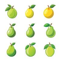 Set of pears fruit vector