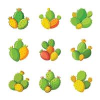 Cactus set isolated on white vector