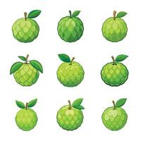 Set of duarian fruit isolated on white vector