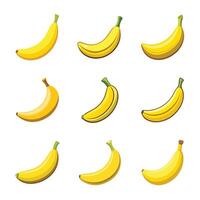 Set of banana fruit isolated on white vector