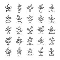 Drawing plant icon set vector