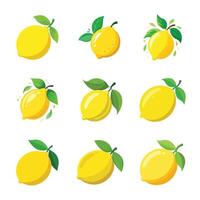 Set of lemon vector