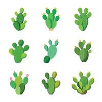 Set of cactus isolated on white vector