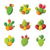 Original variety of flat cactus set vector