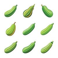Set of zucchini vector