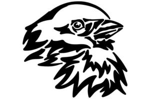 Charming Line Art of a Sparrow's Face vector