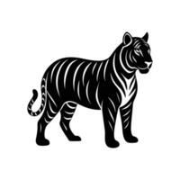 A black and white tiger on a white background vector