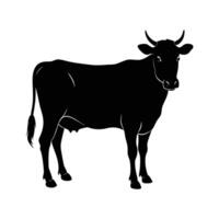 a black cow is standing in front of a white background vector