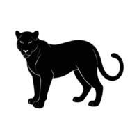black panther silhouette on white background vector