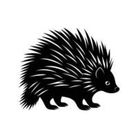 an illustration of a black and white hedgehog vector