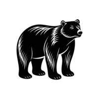 A black bear standing on a white background vector