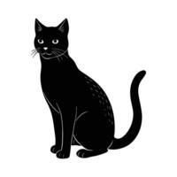 black cat sitting on white background . vector