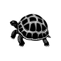 a black and white turtle on a white background vector