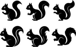 Squirrel silhouette collection vector