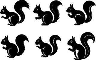 set of squirrel silhouettes in various poses vector