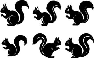 Squirrel silhouette. Squirrel concept eating nuts on white background. Great for logos. vector