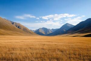 Vast golden grasslands stretch between majestic mountains under a bright blue sky during a clear day in an untouched wilderness photo
