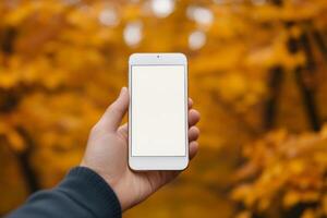 A hand holds a blank smartphone in front of a backdrop of vivid orange and yellow autumn foliage. photo