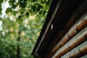 Rustic wooden cabin nestled among lush green trees during daylight in a serene forest setting photo