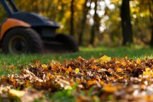 Fall leaves scattered on the ground with a lawn mower in the background during an autumn afternoon in a park photo