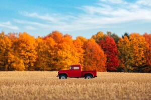 Red truck drives through golden field against vibrant autumn trees in clear blue sky photo