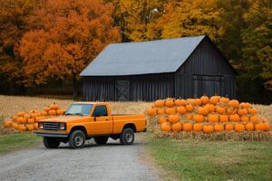 Bright orange pumpkins surround a classic pickup truck parked near a rustic barn in autumn photo