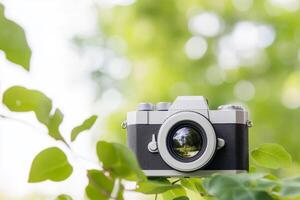 Vintage camera captured among green leaves in a bright garden setting showcasing nature and photography photo